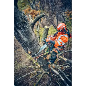 Obrázek #3 k produktu Husqvarna 560 XP® Mark II 