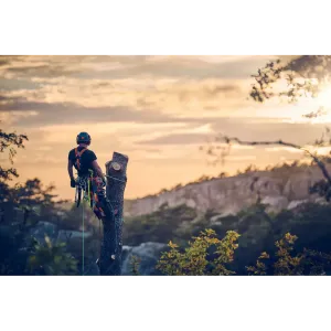 Obrázek #5 k produktu Klín Arborist 4" 