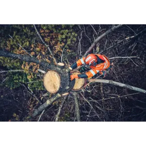Obrázek #6 k produktu Klín Arborist 4" 