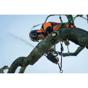 Obrázek #5 k produktu Husqvarna T540i XP G bez akumulátoru a nabíječky 