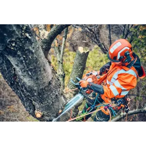 Obrázek #8 k produktu Husqvarna 560 XP® Mark II 