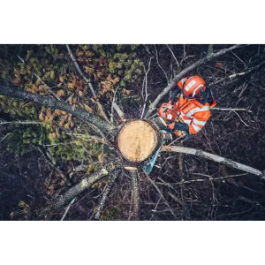 Obrázek #6 k produktu Husqvarna 562 XP® Mark II 