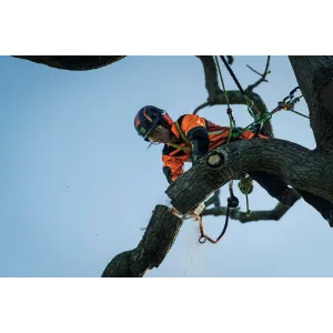 Obrázek #2 k produktu HUSQVARNA T540i XP® bez akumulátoru a nabíječky 