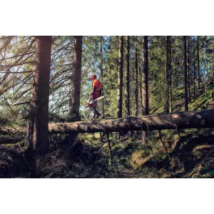 Obrázek #0 k produktu HUSQVARNA 572 XP® G 
